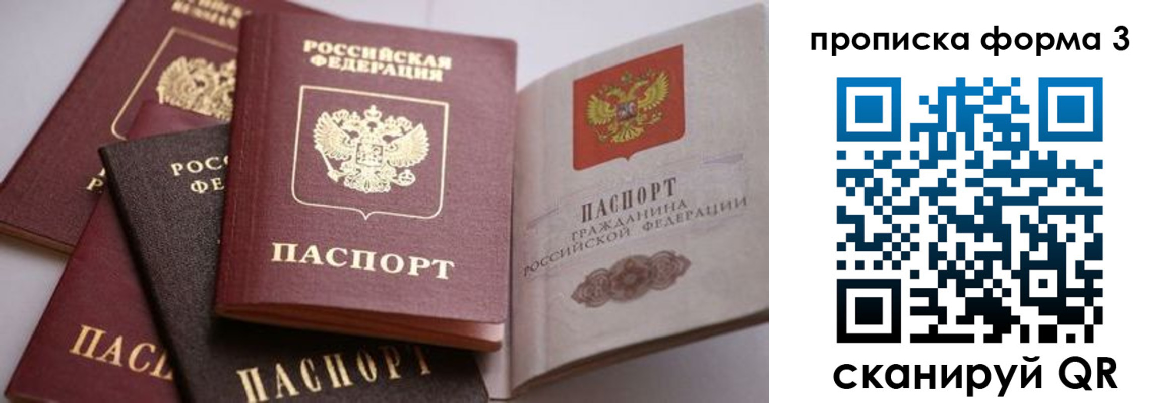 прописка для школы в Красноперекопске